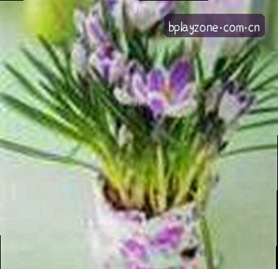 王磊